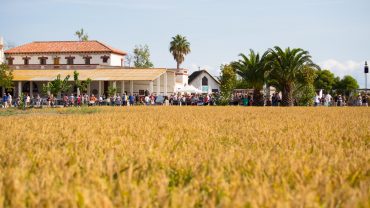 Esdeveniments culturals a Deltebre